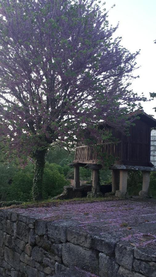 Casa Rural Torre Lombarda Ξενοδοχείο Allariz Εξωτερικό φωτογραφία